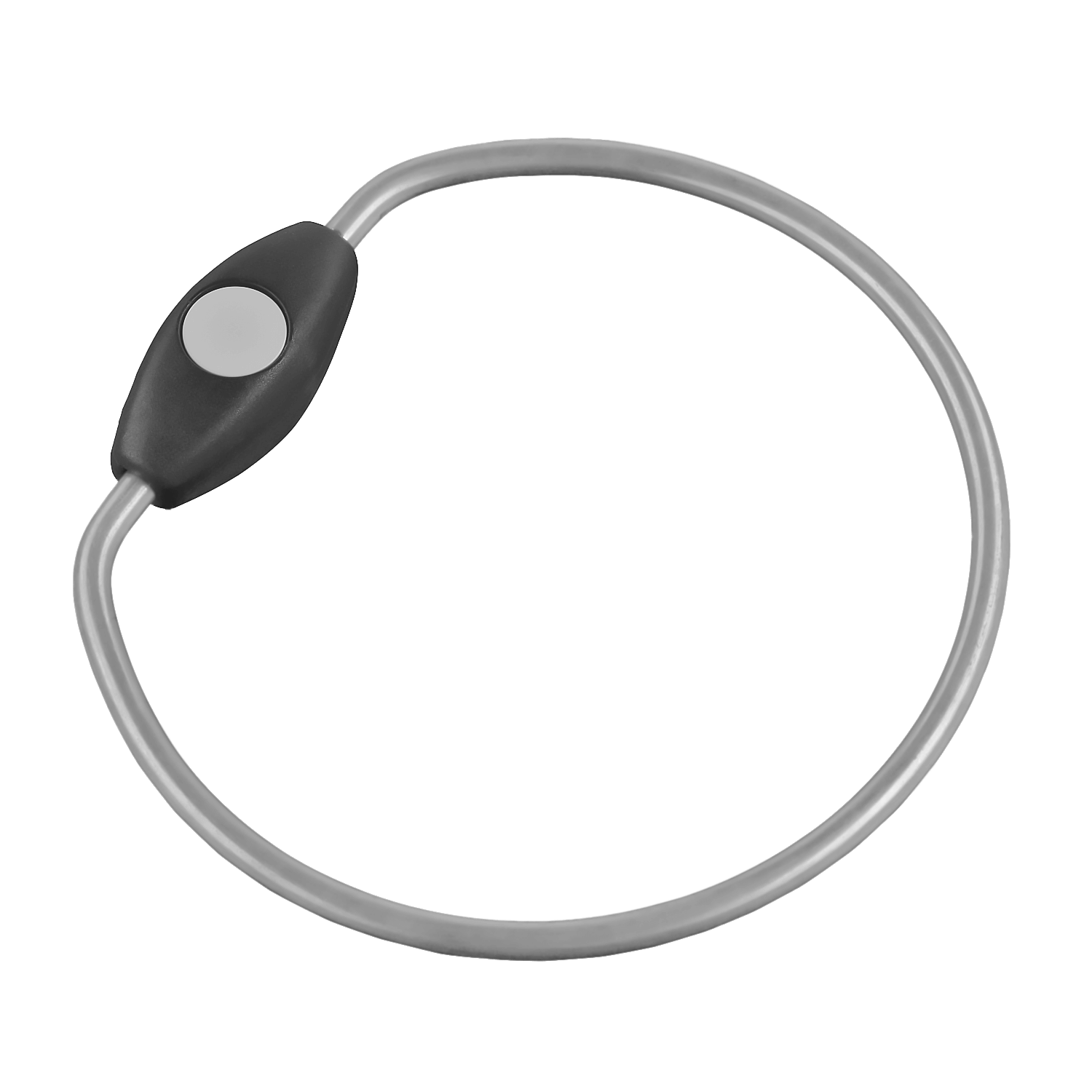 keyRing 90 für proxSafe keytags