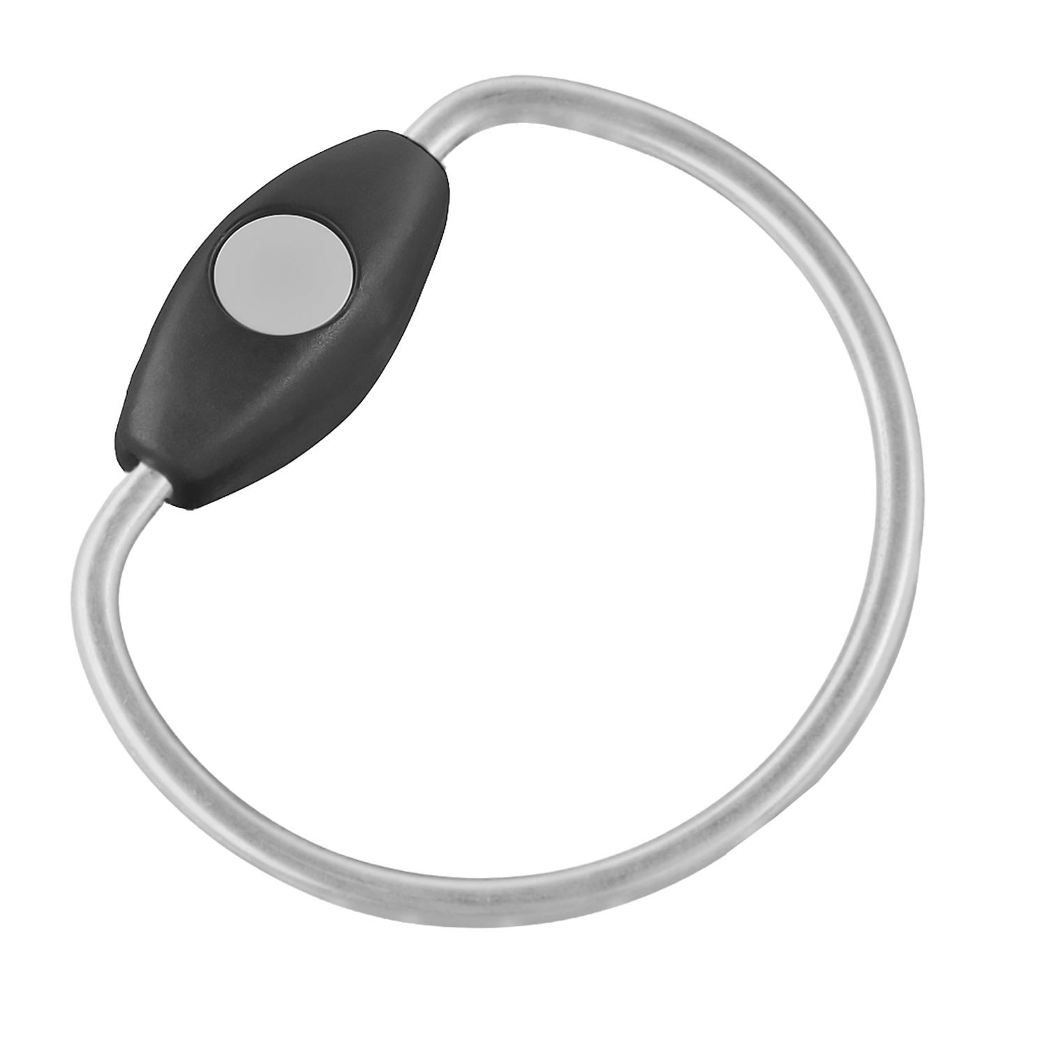 keyRing 60 für proxSafe keytags